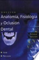 libro Anatomía, Fisiología Y Oclusión Dental